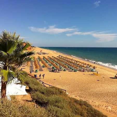 索尔加维公寓式酒店 3* 奎特里拉